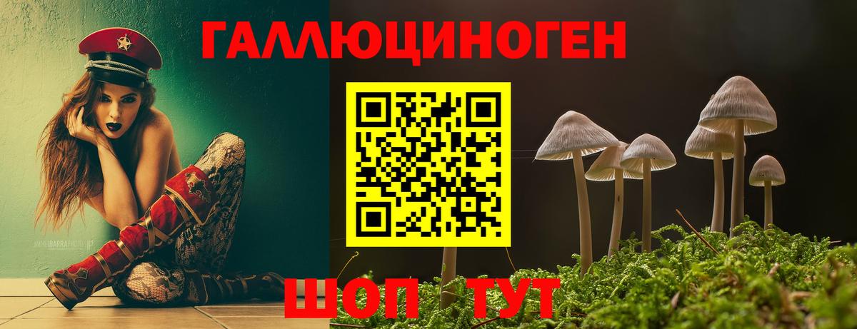 Сорочинск  Псилоцибиновые грибы MAGIC MUSHROOMS  Вход с VPN  Галлюциногенные грибы ЛСД 